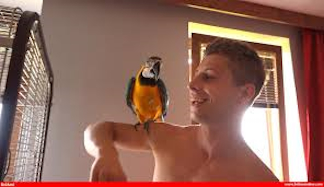 Ripping good gay sex pic